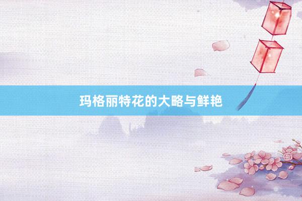 玛格丽特花的大略与鲜艳